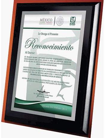 Reconocimiento de madera